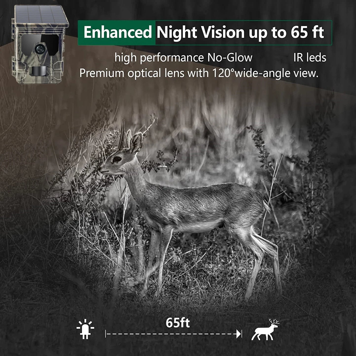 2K Solar-Powered Hunting Camera with Infrared Night Vision – Wildlife Trail Monitoring Video & Photo Recorder