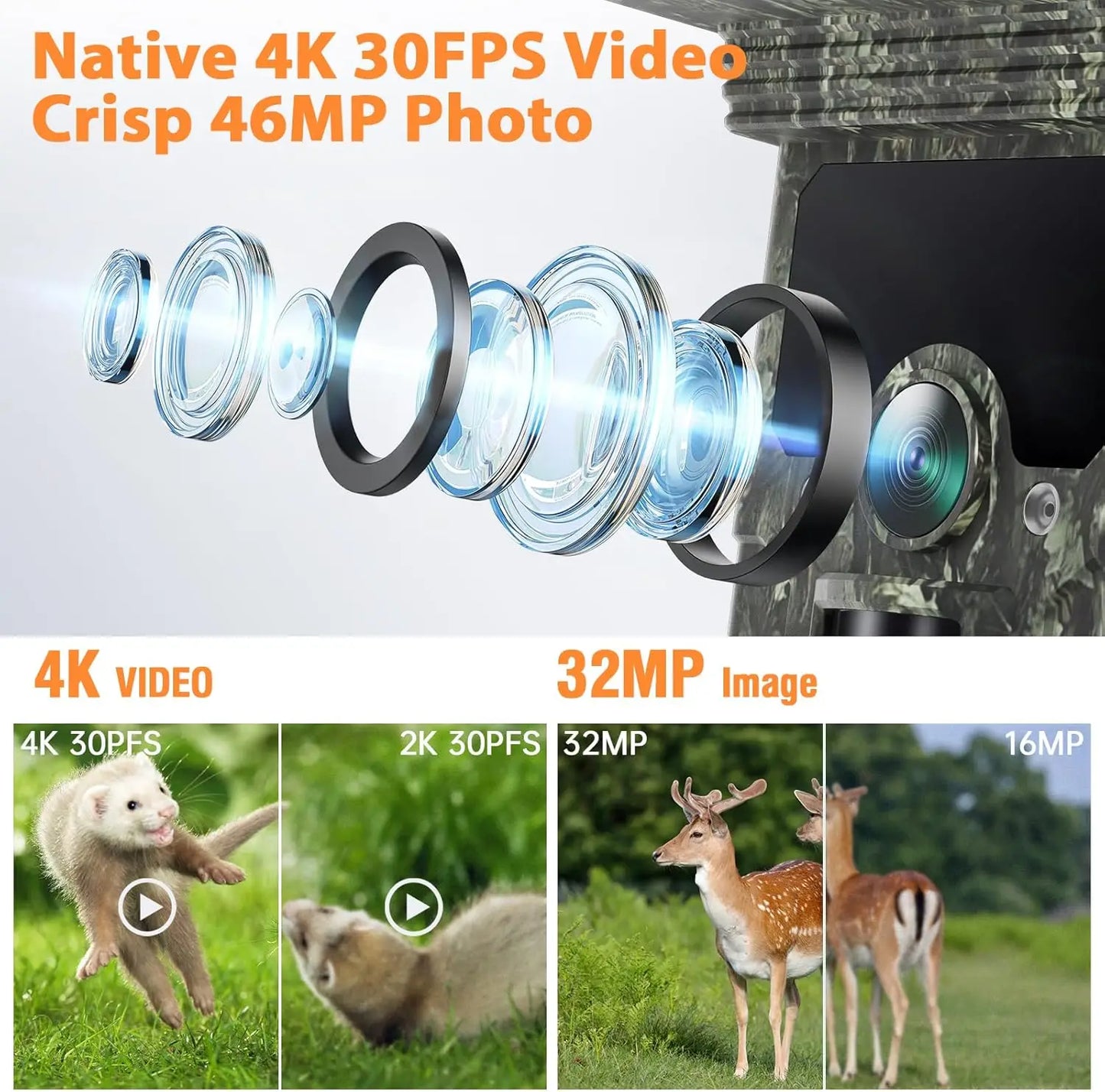 2K Solar-Powered Hunting Camera with Infrared Night Vision – Wildlife Trail Monitoring Video & Photo Recorder