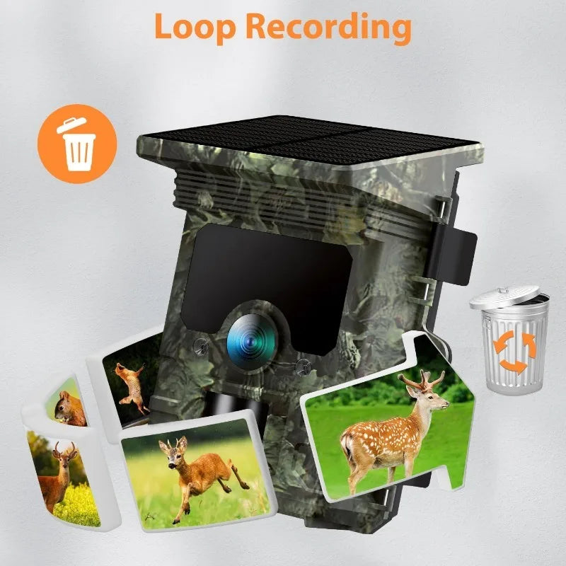 2K Solar-Powered Hunting Camera with Infrared Night Vision – Wildlife Trail Monitoring Video & Photo Recorder